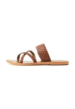 Ajaya - Mules - Camel